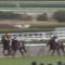 【競馬/スプリングS】クリノガウディー・やはりフロックだった
