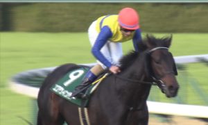 【競馬/チャレンジC】エアウィンザーで負けまくってた武豊さんｗｗｗ