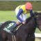 【競馬/金鯱賞】エアウィンザーの武豊は完璧に乗ったな
