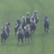 【競馬】[動画] オルフェ産駒シェドゥーヴルの直線の斜行が思った以上に酷い件