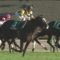 【競馬/桜花賞】シェーングランツが勝てばカズヲのAAがみられるって本当ですか？