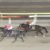【競馬】ホープフルS→ルメデム、東京大賞典→ルメデム←これ