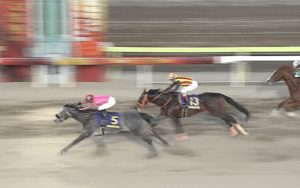 【競馬/東京大賞典】オメガパフューム強すぎワロタｗｗｗｗｗｗｗ