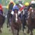 【競馬/共同通信杯】アドマイヤマーズ、ガレてね？