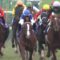 【競馬/共同通信杯】アドマイヤマーズ、ガレてね？
