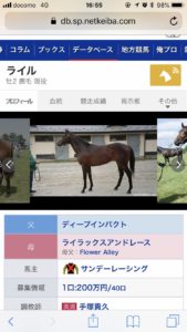 【競馬】ワイの2016遂に今週デビュー 【競馬】ワイの2016遂に今週デビュー