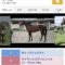 【競馬】ワイの2016遂に今週デビュー