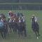 【競馬・阪神大賞典】キセキ、めちゃくちゃな競馬で惨敗してしまう