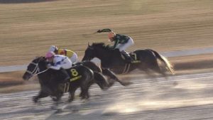 【競馬・JBCクラシック】川田ｗｗｗｗｗｗｗｗｗｗ
