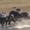 【競馬/名古屋グランプリ】単勝1.8倍グリムを3着に飛ばした武豊ｗｗｗｗｗｗｗｗｗｗｗ