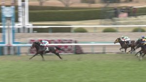 【競馬】インディチャンプ音無調教師「池添君が今後の手本になる完璧な騎乗をしてくれた」