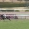 【競馬】インディチャンプ音無調教師「池添君が今後の手本になる完璧な騎乗をしてくれた」