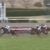 【競馬/朝日杯FS】グランアレグリア弱すぎワロタｗｗｗｗｗｗｗｗｗｗｗｗｗｗｗｗｗｗｗｗｗｗ