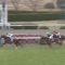 【競馬/朝日杯FS】グランアレグリア弱すぎワロタｗｗｗｗｗｗｗｗｗｗｗｗｗｗｗｗｗｗｗｗｗｗ