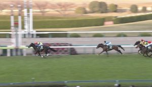 【競馬/金鯱賞】なら聞くけど、エアウィンザーみたいに前走圧倒的強さだったのに馬券外に飛んだ馬なんているか？