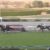 【競馬/チャレンジC】エアウィンザー強過ぎ本格化wwww