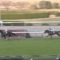 【競馬/金鯱賞】なら聞くけど、エアウィンザーみたいに前走圧倒的強さだったのに馬券外に飛んだ馬なんているか？