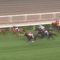 【競馬/香港カップ】1番人気ディアドラのルメール糞騎乗ｗｗｗｗｗｗｗ