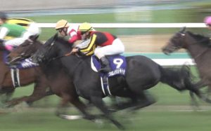 【競馬/阪神JF】北村友一｢スタートで浜中のタニノミッションに前に入られて怯んでしまいました｣