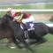 【競馬】北村友一って何がそんなにすごいの？