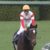 【競馬】Cデムのおかげで冬のボーナス全部なくなった(´；ω；`)