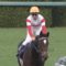 【競馬】ダノン黄金時代到来 【キングリー、スマッシュ、チェイサー、プレミアム】
