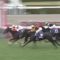 【競馬/阪神JF】福永祐一騎手「ビーチサンバは気温の低さを気にしているようだった」