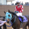 【競馬/有馬記念】オジュウの長沼厩務員｢よく頑張った｣と号泣…和田調教師｢一流馬にも通用すると分かった｣