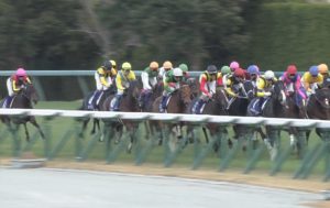 【競馬/阪神JF】タニノミッション弱すぎワロタwwwwwwwwwwwwwwwwwwwwwww 【競馬/阪神JF】タニノミッション弱すぎワロタwwwwwwwwwwwwwwwwwwwwwww