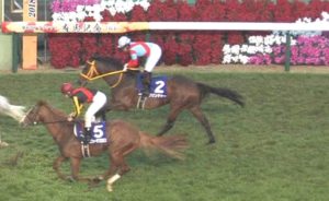 【競馬/有馬記念】さりげなくクリンチャーが15着に沈んでてビックリした