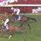 【競馬/有馬記念】さりげなくクリンチャーが15着に沈んでてビックリした