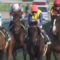【競馬】チャレンジＣ圧勝のエアウィンザー、藤岡佑騎手とのコンビで金鯱賞へ
