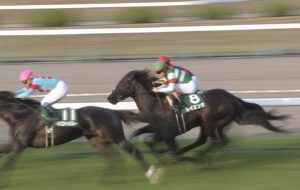 【競馬/チャレンジC】菊花賞から逃げたレイエンダ弱すぎワロタwwwww