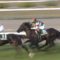 【競馬/チャレンジC】1番人気レイエンダのルメールｗｗｗｗｗｗｗｗｗｗｗｗｗｗｗ