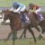 【競馬/NHKマイルC】正直、アドマイヤマーズの方が強いだろ