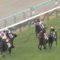 【競馬】阪神7Rで竹之下大斜行wwwww
