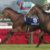 【競馬/有馬記念】2着レイデオロのルメール「今日はハービンジャーの馬場だった。負けたのは斤量の差」