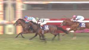 【競馬/大阪杯】ブラスト、ペルシアン二頭軸にしとけば当たる説