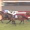 【競馬/有馬記念】ブラストワンピースなんて何で買えるんだよ・・・