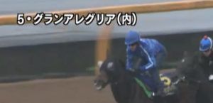 【競馬/朝日杯FS】馬体重大幅マイナス、イレ込む、出遅れる、掛かる確定のグランアレグリア