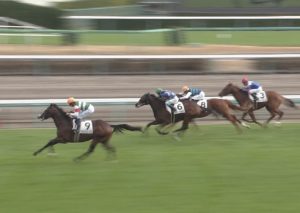 【競馬】オルフェ産駒シェドゥーヴルについてビュイック「オルフェーヴルみたいだぁ・・・」