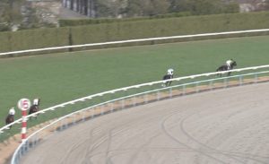 【競馬】万葉S・和田さんの大逃げ凄すぎワロタwwwwwwwwwwwwww 【競馬】万葉S・和田さんの大逃げ凄すぎワロタwwwwwwwwwwwwww