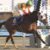 【競馬・チャンピオンズS】人気薄の和田が怖い