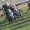 【競馬/シンザン記念】ドナウデルタ福永ｗｗｗｗｗｗｗｗｗｗｗｗｗｗｗｗ