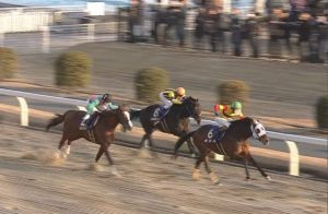 【競馬】川崎記念、昨年10億6790万1500円→今年8億7435万6200円 売上大幅ダウン 西日が原因か