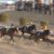 【競馬】川崎記念、昨年10億6790万1500円→今年8億7435万6200円 売上大幅ダウン 西日が原因か