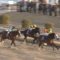 【競馬】川崎記念、昨年10億6790万1500円→今年8億7435万6200円 売上大幅ダウン 西日が原因か