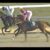 【競馬】お前ら去年のきさらぎ賞の勝ち馬覚えてるか？