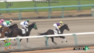 【競馬】山田騎手、あの距離錯誤について振り返る