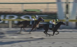 【競馬】Dr.コパ「女性騎手なんだから皆で応援しなきゃダメ。重賞勝ってほしい、多くの競馬ファン夢。」